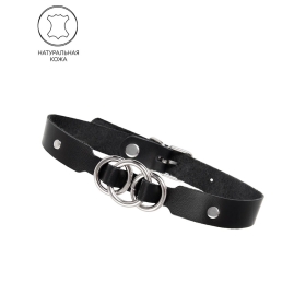 Ошейник Pecado 03119